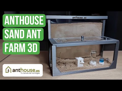 Recensione Dell'Anthouse Sand Ant Farm 3D - L