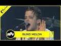 Blind Melon - 2 X 4 | Live @ Metro