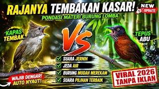 Download lagu Masteran burung paling viral 2026 || kombinasi tembakan kasar & jernih❗️ mp3