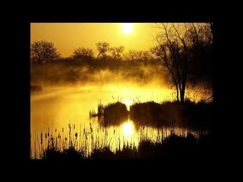 Einsigartig - Kapazität