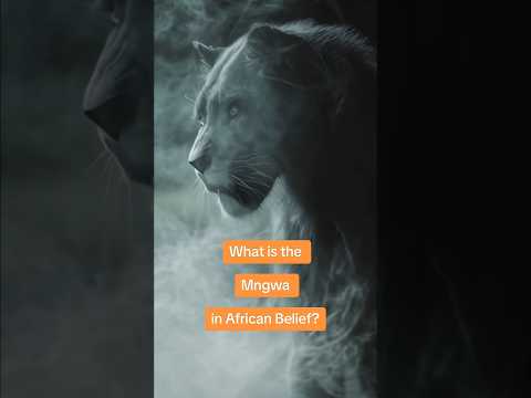 What is the Mngwa in African Belief?