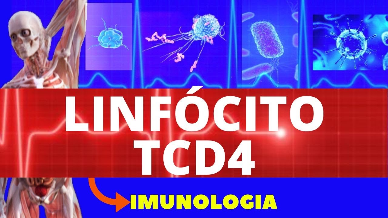 LINFÓCITO TCD4 (ENSINO SUPERIOR) - IMUNOLOGIA - SISTEMA IMUNOLÓGICO