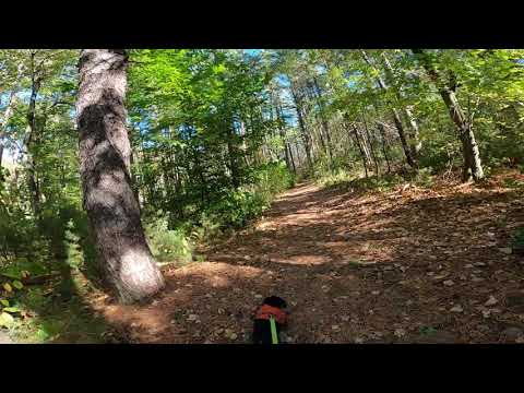 THE WARNER TRAIL Sec 8, F. Gilbert Hills Forest to Lakeview Rd to Rt.140 Foxboro, MA Vid 5 of 8