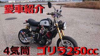 Custom 45 HP Inline-Four Honda Monkey 