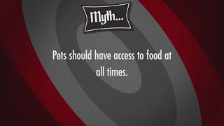 Tall Tails: Do Pets Need Access To Food All Day?