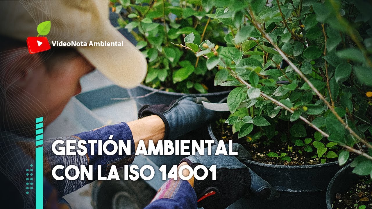 🌍 ISO 14001: El estándar de las Empresas Sostenibles 🏭