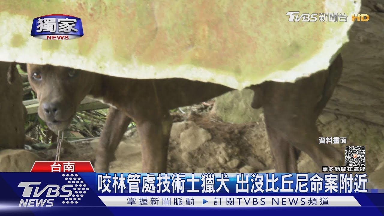 真的會崩潰！林野調查5獵犬衝出攻擊　猛咬林管處技術士