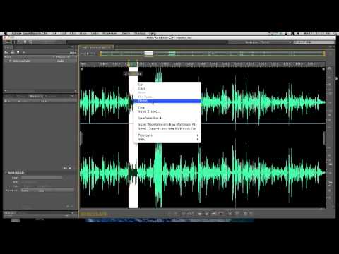 Adobe Soundbooth