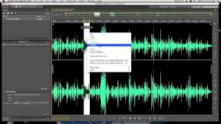 Adobe SoundBooth for 204: Basic Editing