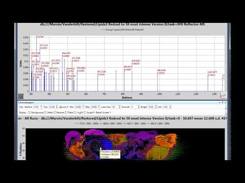 How to Create a 2D Tissue Chromatogram in SimulTOF Viewer