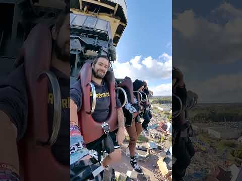 Coaster Toaster and goldentapes