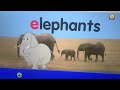Starfall ABC Preview Alphabet A To Z Learn English Phonics