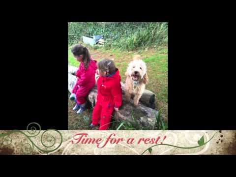 Pine Cone Collecting with the girls