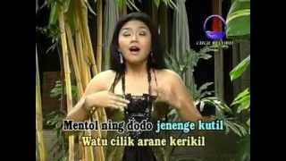 Download lagu Watu Cilik - Lagu dangdut mp3
