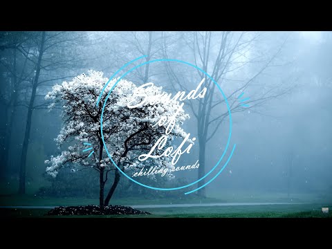 ENRA x dr niar - Blue Hour [lofi hip hop/relax music/chill beats]