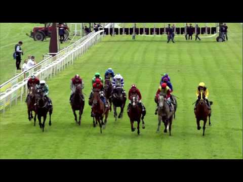 Galopprennbahn Dresden 15.07.2017 - Rennen 5