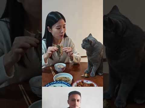 ابتسم… 😄🎉 حتى لو ما عندك سبب!Smile… 😄🎉 even if you have no reason! #لايك_اشتراك #الرفق_بالحيوان