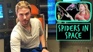 Spiders in Space | Because Science Footnotes