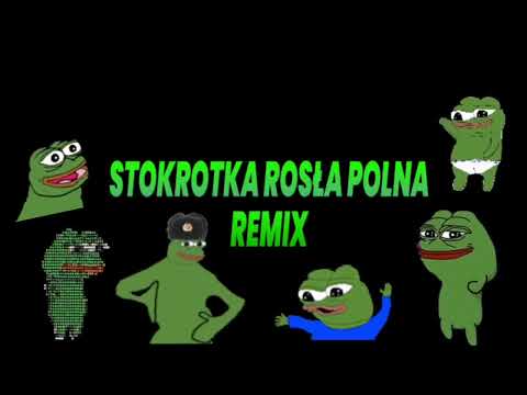 Stokrotka rosła polna remix
