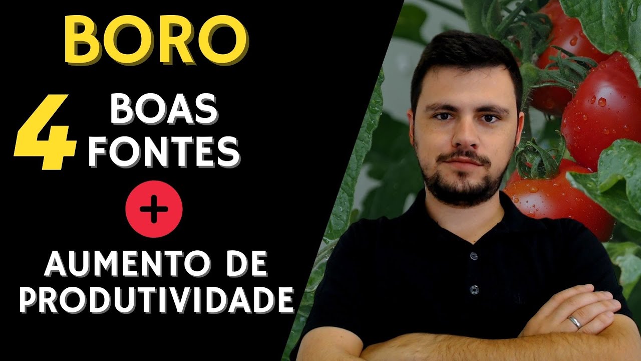 4 Fontes de BORO e sua influência na PRODUTIVIDADE agrícola