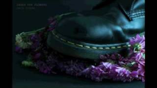 Still Life Photography by David Titford