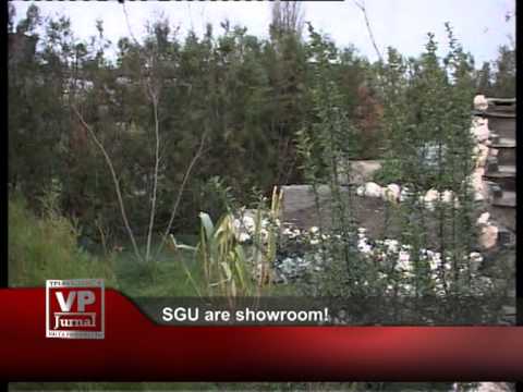 SGU are showroom!