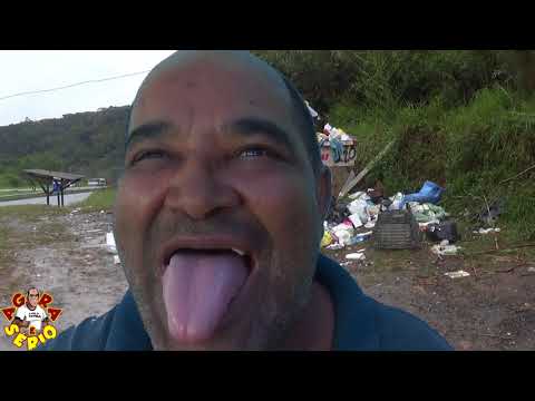 Repórter do Mato se Assusta com o Mini – Lixão na Entrada da Palestina
