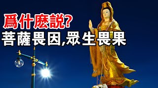 佛說：世間的一切，都是因果迴圈！難怪菩薩畏因，眾生畏果?