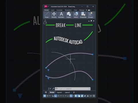 Intermediate To Advanced AutoCAD architecture floorplan architect