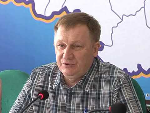 Курские активисты ОНФ собираются призвать к ответу виновных в массовой гибели пчел