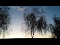 A Silhouette kinda morning...