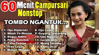 Download lagu 60 Menit Cursari Nonstop Tombo Ngantuk Dasastudio... mp3