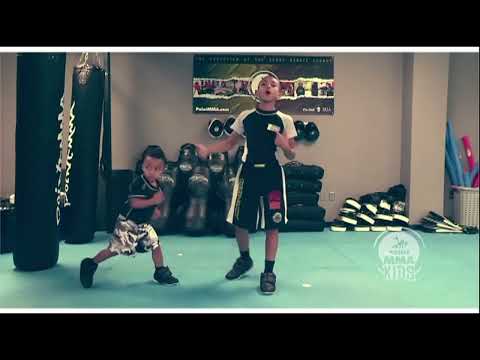 POINT MMA (5 Volume Set)By Willie THE BAM Johnson & Kimber Johnson