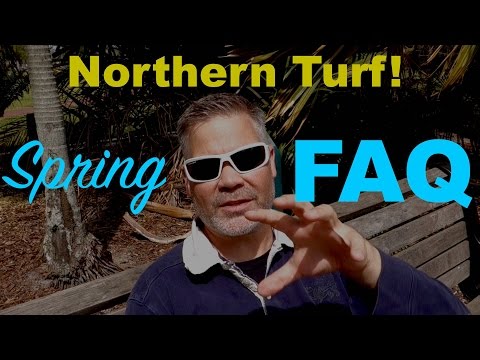 Pre-Emergents For Crabgrass - FAQ And When To Use