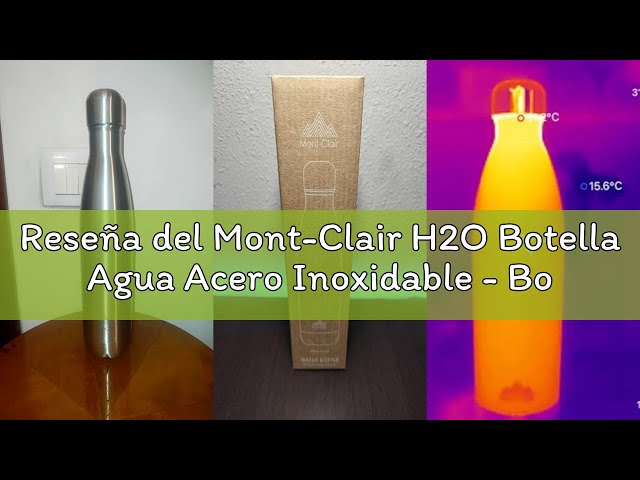 Vídeo relacionado con Cinereplicas - Botella isotérmica Looney Tunes Gryffindor 500ml Acero inoxidable - Licencia Oficial