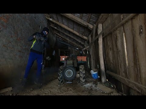 Goldoni 14 hp starting  at -6°