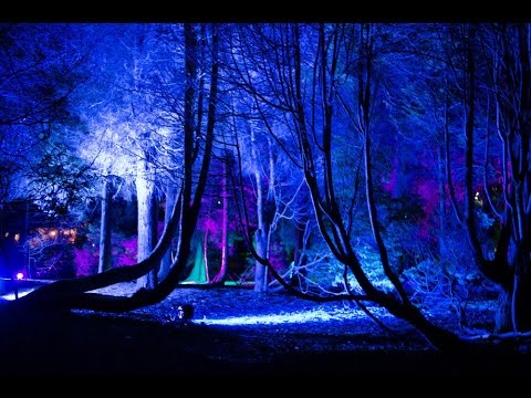 TEKKERKANE - WALDGEFLÜSTER AFTER SET 10.08.2014 [HARDTECHNO]