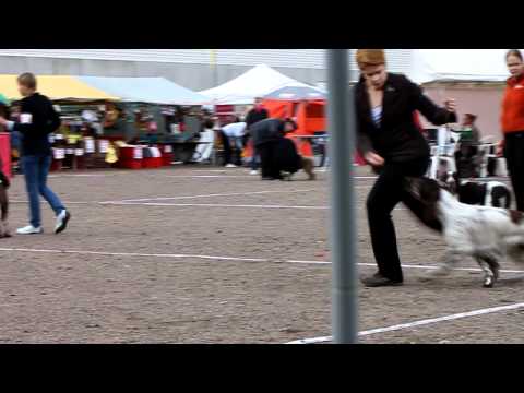 Amy moving at Savitaipale group show 17.9.2011