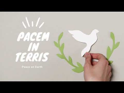Pacem in Terris and its Key Principles