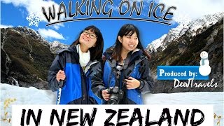 Sights & Sounds: Flying Fox Helihike, Fox Glacier