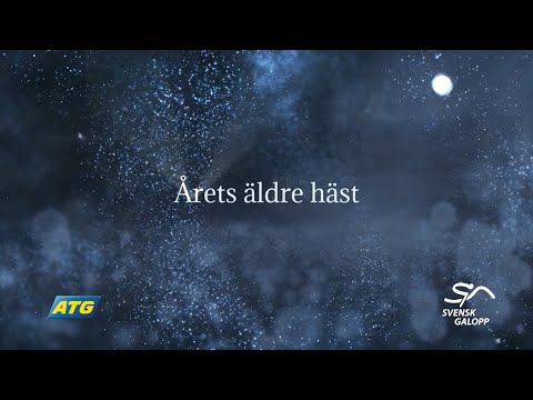 Nominerade: Årets äldre häst 2025
