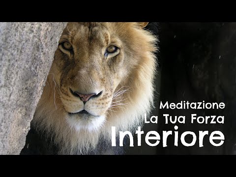 La Tua Forza Interiore - Meditazione e Visualizzazione per rinforzare il tuo Potere interiore
