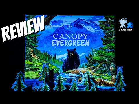 Canopy Evergreen Review