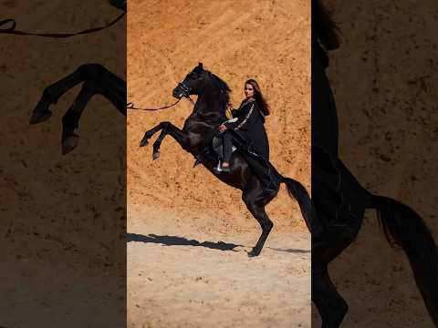 Black Arabian Horse #arabianhorse #blackhorse