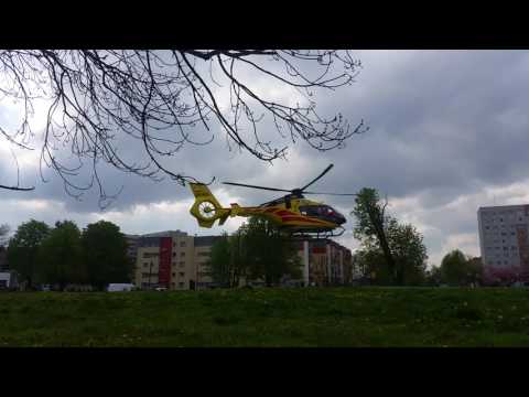 Akcja Lotniczego Pogotowia Ratunkowego na psim wybiegu