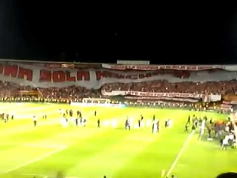 "LA FUERZA DE UN PUEBLO [UNA SOLA HINCHADA]" Barra: La Guardia Albi Roja Sur &bull; Club: Independiente Santa Fe