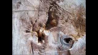 Gnossienne No. 3 by Erik Satie