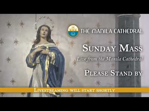 Sunday Mass at the Manila Cathedral - February 15, 2026 (6:00pm)