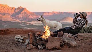VAN LIFE with a DOG | A Day In The Life | The Desert