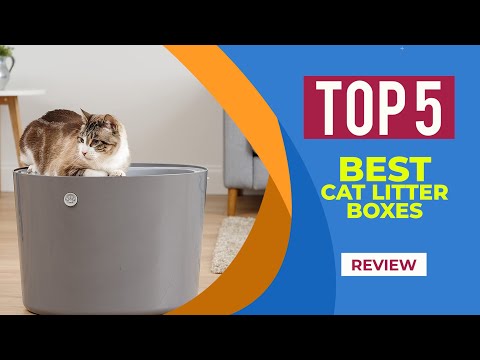 The 5 Best Cat Litter Boxes of 2022 | Reviews | Best Cat Litter Box for Multiple Cats